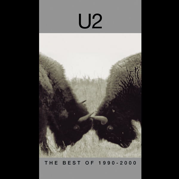 The Best Of 1990-2000 DVD