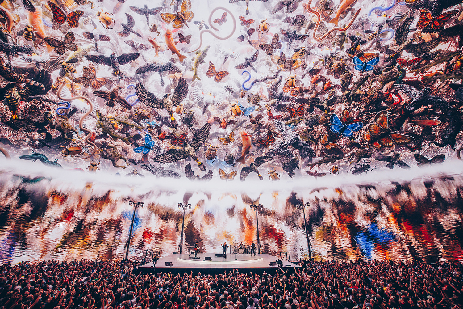 U2 > News > 'Are you ready to have your mind blown?'